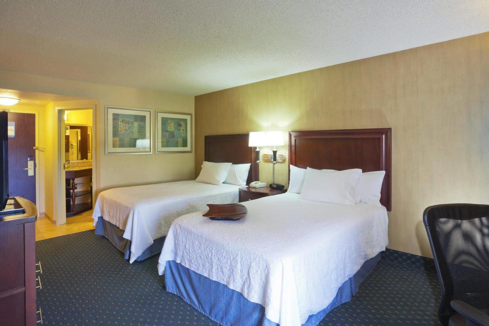 Hampton Inn Seattle Airport SeaTac Room photo